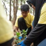 Mengapa Lanskap Hijau Penting bagi Lingkungan