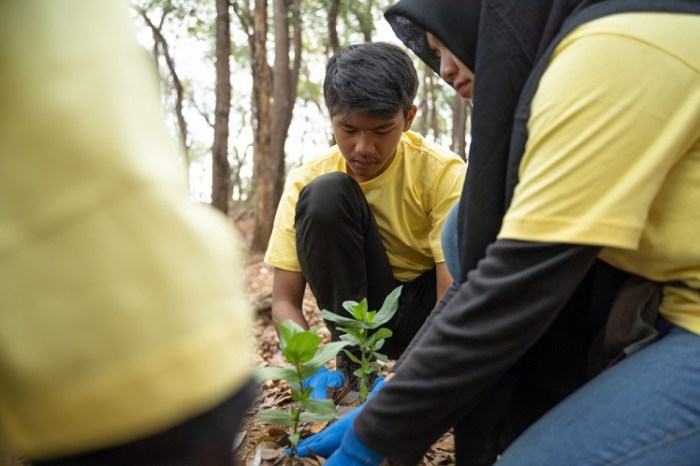 Mengapa Lanskap Hijau Penting bagi Lingkungan