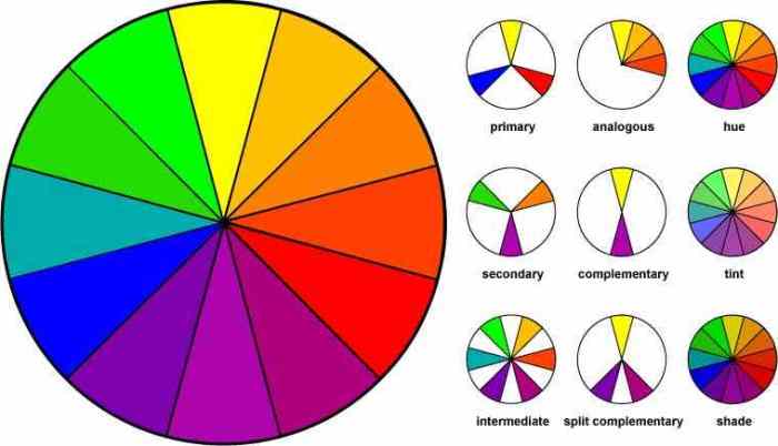 Cara Membuat Taman dengan Kombinasi Warna Harmonis