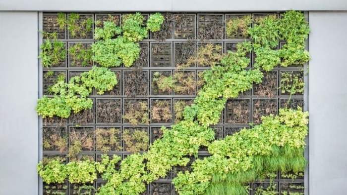 Vertical wall garden create