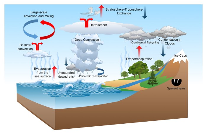 Water cold hot freeze science faster does than why fair board choose projects