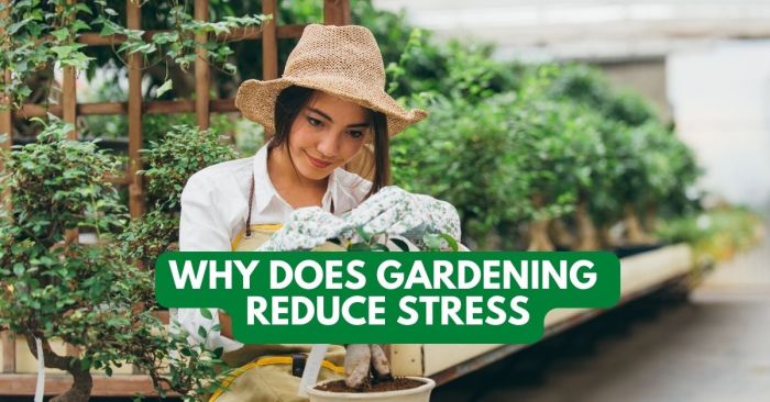 Garden gardening relieve stress ways