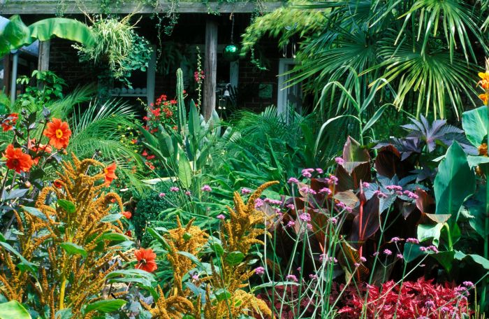 Tropical landscape ideas front garden yard landscaping beautiful backyard small modern gardens plants architecture freshouz choose board article florida