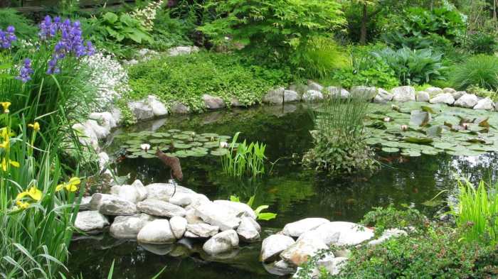 Inspirasi Taman Modern dengan Kolam Kecil